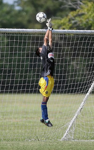 我们什么 我们什么