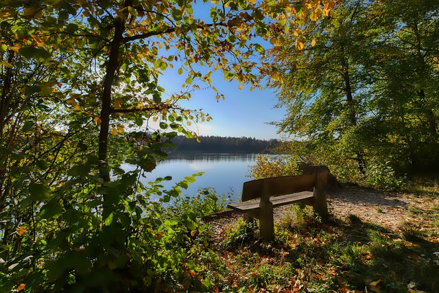 沟通与协调 沟通与协调