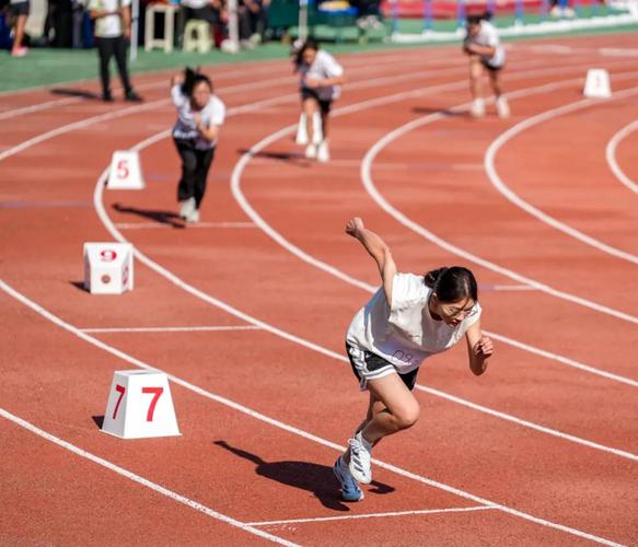 瑞典与美国 瑞典与美国