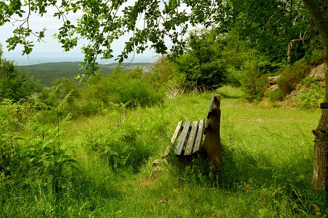 射为巴黎首 射为巴黎首