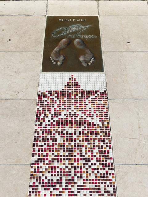 韩国的在野 韩国的在野