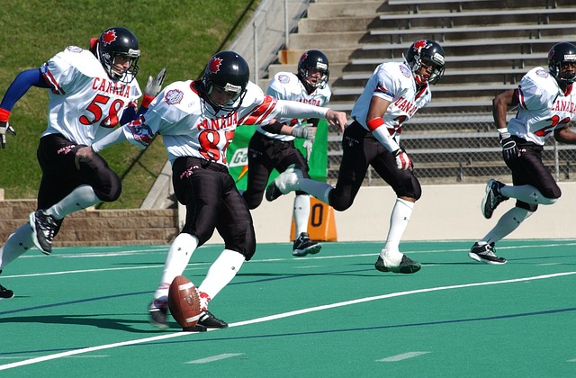 科尔大胆的 科尔大胆的